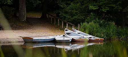 Bild: Ruderboote im Park Schönbusch