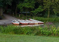 Bild: Ruderboote im Park Schönbusch
