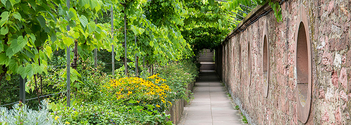 Bild: Plattenweg im Schlossgarten
