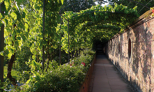 Picture: Aschaffenburg Palace Gardens