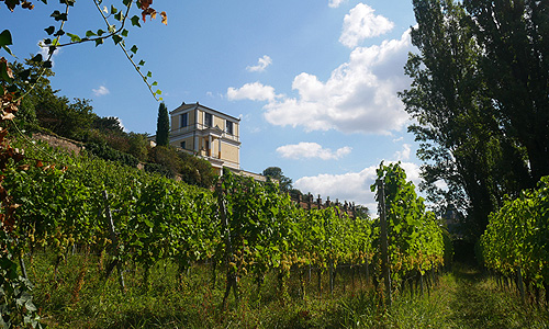 Picture: Aschaffenburg Palace Gardens