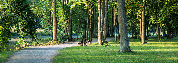 Bild: Weg und Ruhebänke im Park Schönbusch